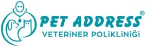 Bayrampaşa Veteriner Polikliniği